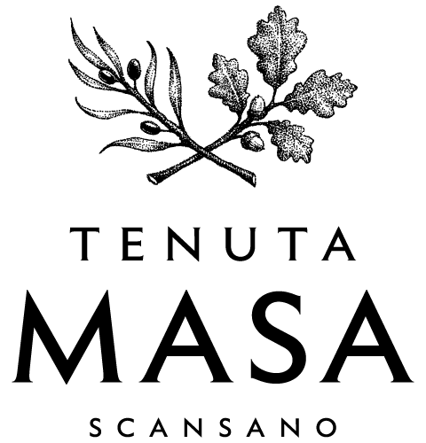 Tenuta Masa